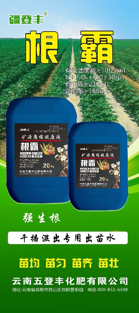 根霸（出苗水）